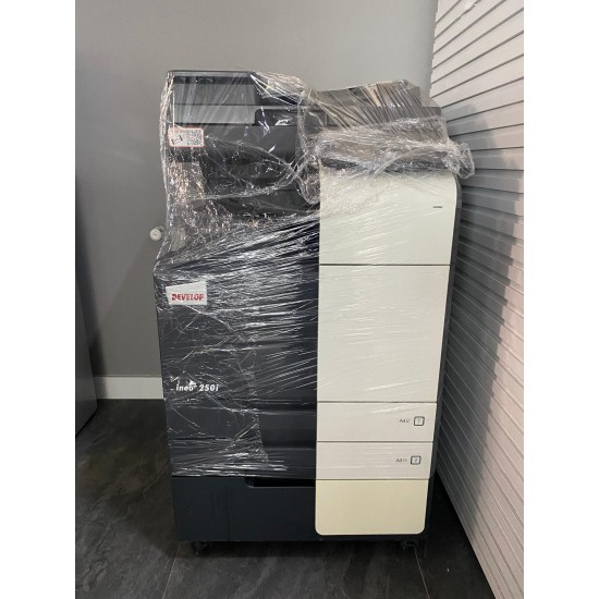 Develop ineo +250i